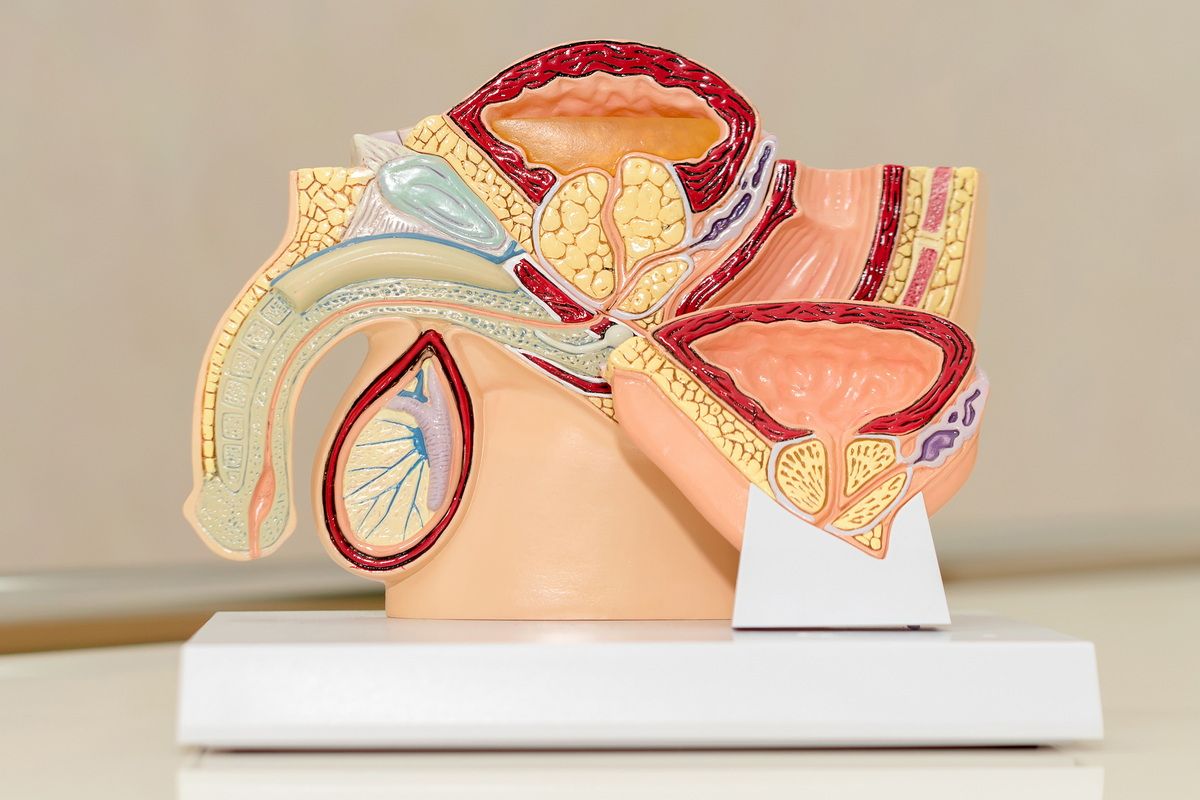 Иммунологическое бесплодие у мужчин