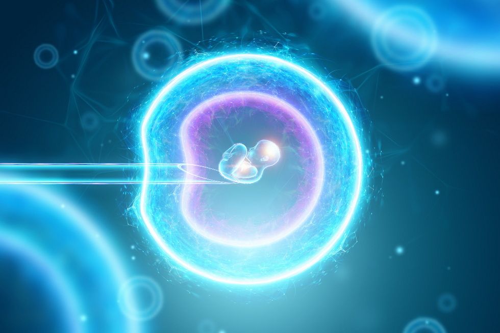 Окно имплантации