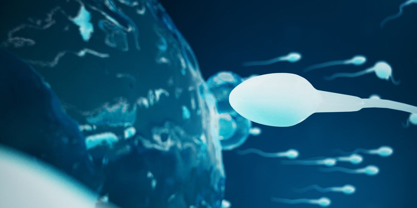 Метод ПИКСИ при ЭКО